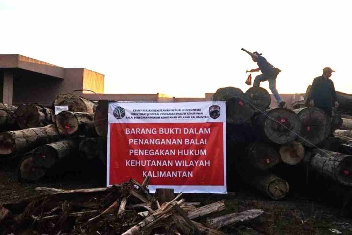 Ratusan Kubik Kayu Bulat Ilegal di Ketapang Berhasil Diamankan