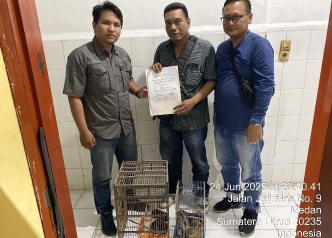 Gercep, Polrestabes Medan Gagalkan Perdagangan Satwa Liar Dilindungi