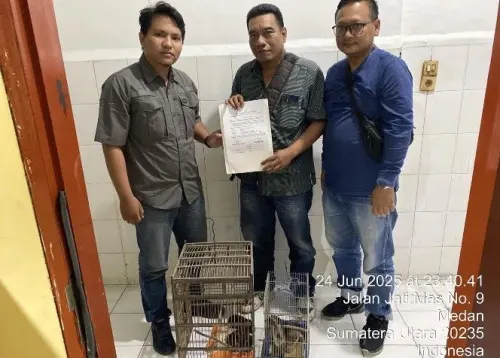 Gercep, Polrestabes Medan Gagalkan Perdagangan Satwa Liar Dilindungi