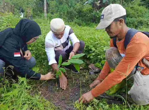 Hijaukan DAS Balantieng, Cara Jitu Teras Tani Alami Tumbuhkan Semangat Berkelanjutan