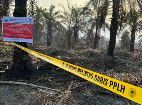 4 Perusahaan Dapat Kado Segel dari KLH/BPLH Terkait Karhutla di Riau