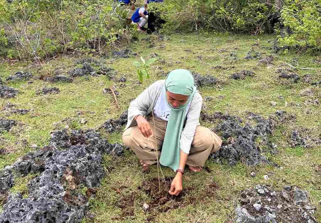 Menjaga Pinisi dengan Kolaborasi Penanaman 220 Bitti di Hutan Bontobahari
