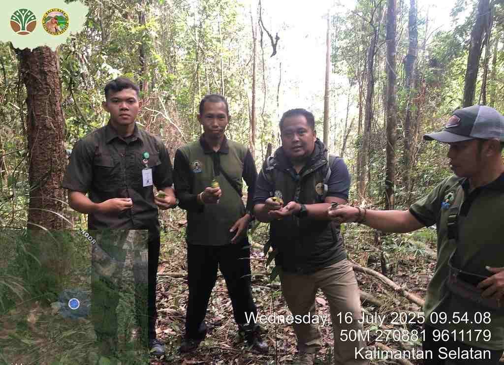 Daftar Lengkap Satwa Liar yang Berhasil Diamankan BKSDA Kalsel