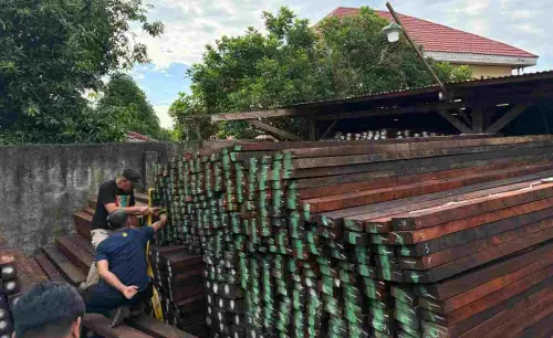 Direktur PT. BCM Ditetapkan sebagai Tersangka Peredaran Kayu Ilegal