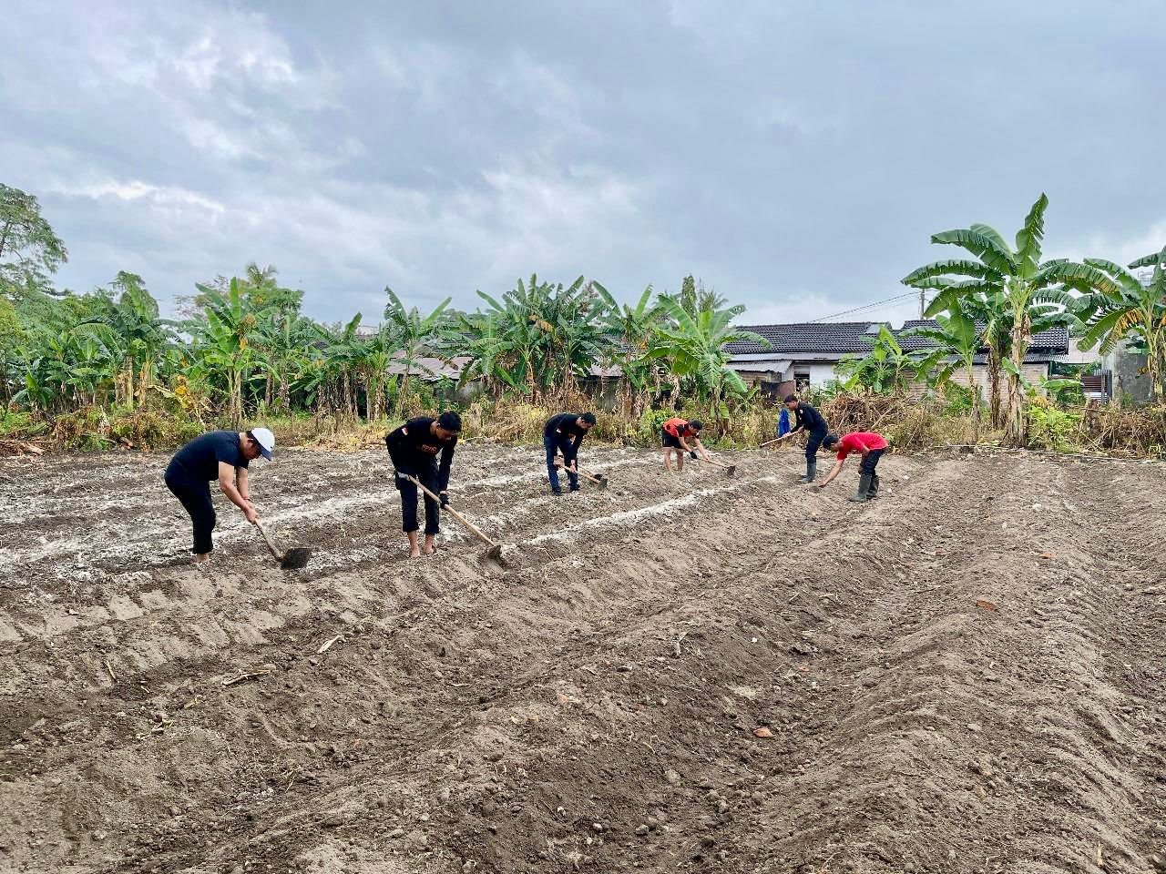 Damkar Menanam, Lahan Kantor Menjadi Kebun Produktif di Bulukumba