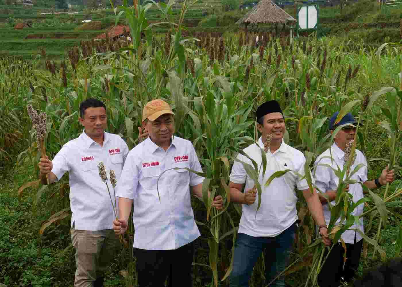 GAN dan SCI Sepakat Kembangkan Sorgum untuk Program Ketahanan Pangan dan Energi