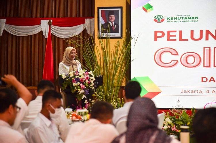 Perihal Coll-Tapak, Upaya Mitigasi Bencana Hidrometeorologi Kehutanan