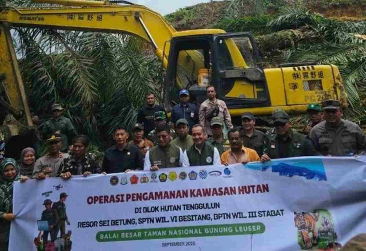 Pulihkan Ekosistem TNGL, Ratusan Hektar Kebun Sawit Dimusnahkan