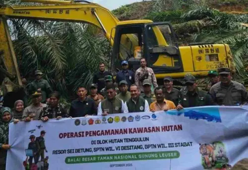 Pulihkan Ekosistem TNGL, Ratusan Hektar Kebun Sawit Dimusnahkan