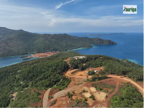 Deforestasi Meningkat, Antara Komitmen Hijau dan Kepentingan Ekonomi Jangka Pendek