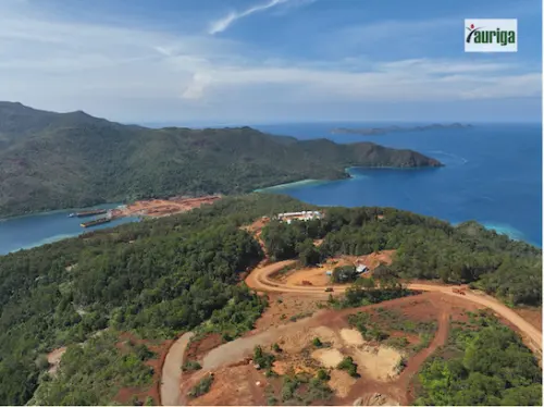 Deforestasi Meningkat, Antara Komitmen Hijau dan Kepentingan Ekonomi Jangka Pendek