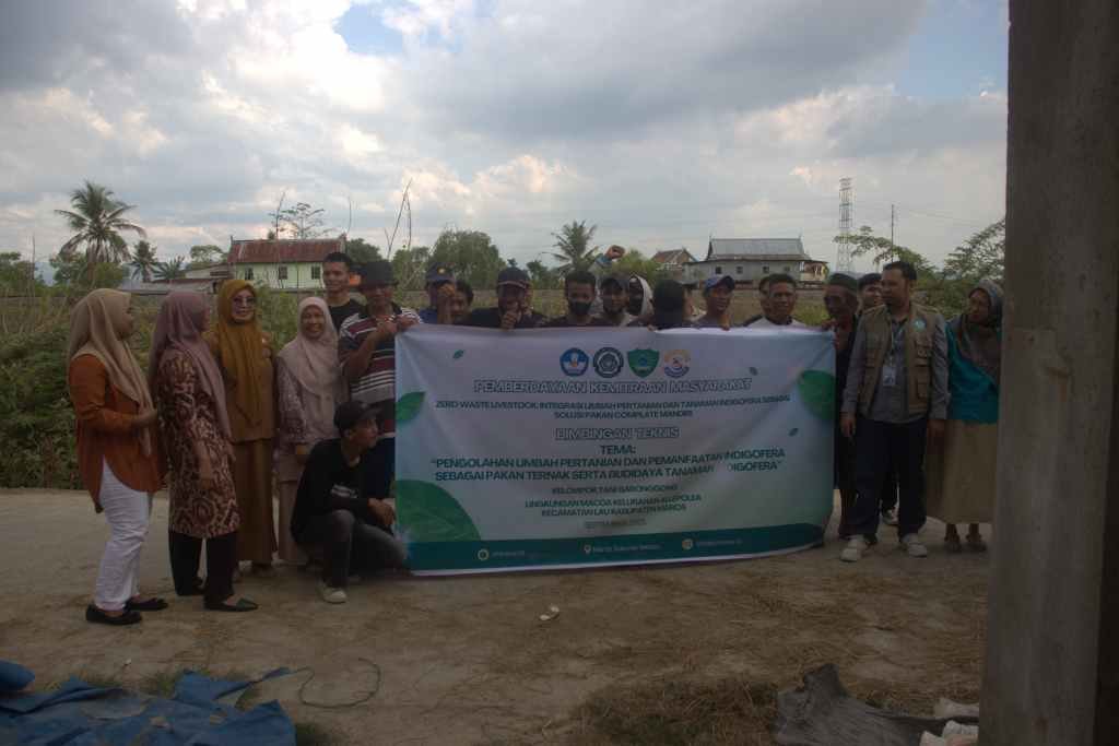 Zero Waste Livestock: Cara Peternak Mandiri Olah Limbah Jadi Pakan Bergizi dengan Indigofera