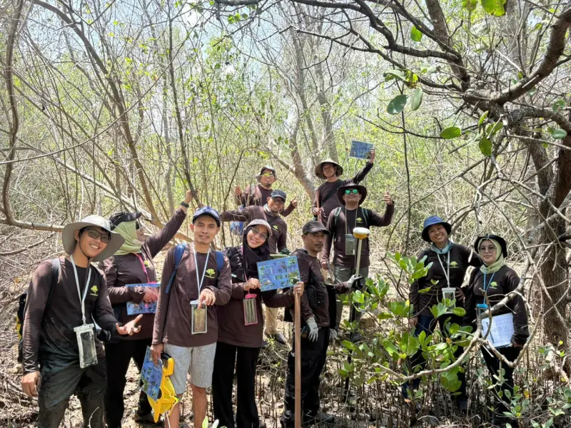 Pegiat Mangrove Sulsel Belajar Rehabilitasi Mangrove Berbasis EMR