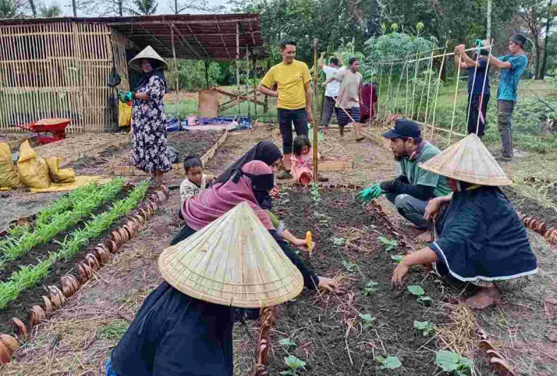 Sekolah Lapang Permakultur Bangun Kemandirian Pangan Warga Pesisir Tanakeke