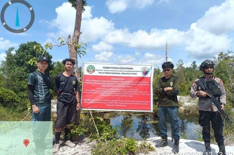 Karena Orang Utan, 12 Pelaku PETI di TN Tanjung Puting Berhasil Diamankan