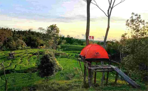 Ingin Mendorong Desa Anda Jadi Desa Wisata, Ini 5 Indikator Penilaian yang Harus Dipenuhi