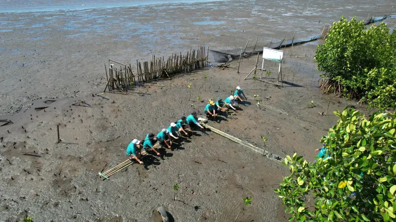 Kolaborasi Pulihkan Pesisir, 5.000 Mangrove Ditanam untuk Masa Depan Hijau Makassar