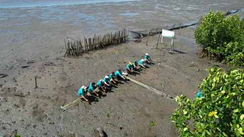 Kolaborasi Pulihkan Pesisir, 5.000 Mangrove Ditanam untuk Masa Depan Hijau Makassar