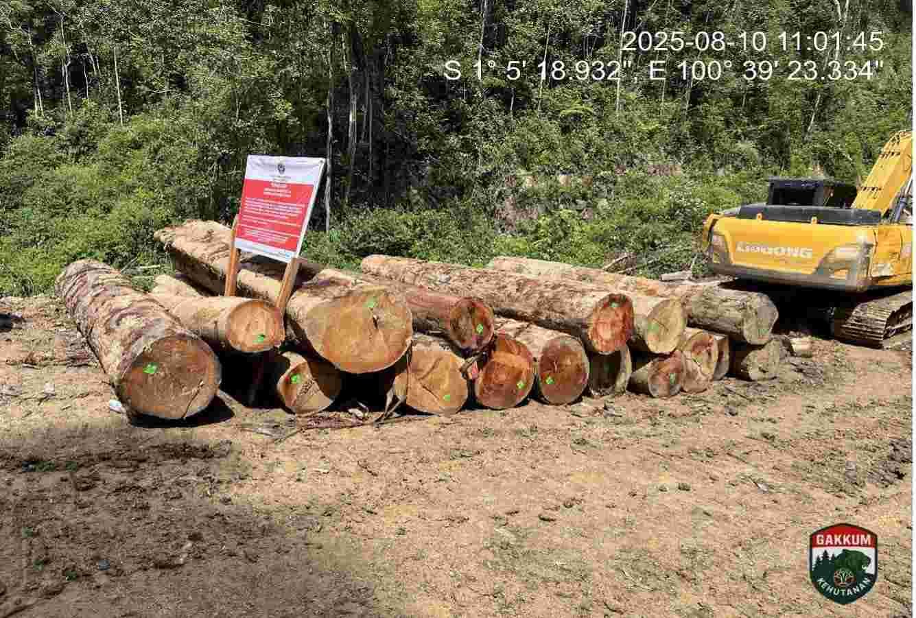 Gakkumhut Menang Praperadilan Kasus Penebangan Ilegal di Solok, Netizen Beri Respons Pedas