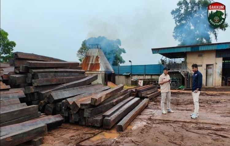 Proses Hukum Jaringan Pengangkut Kayu Ilegal di Batam Terus Berlanjut