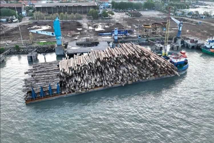 Kasus Illegal Logging di Mentawai akan Dilimpahkan ke Kejaksaan, Netizen; Backingnya Siapa?