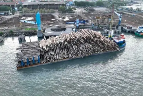 Kasus Illegal Logging di Mentawai akan Dilimpahkan ke Kejaksaan, Netizen; Backingnya Siapa?