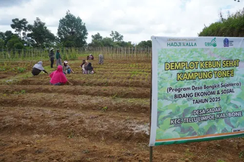 Program DBS Dorong Pertanian Berkelanjutan dan Pendapatan Petani Desa di Sulsel