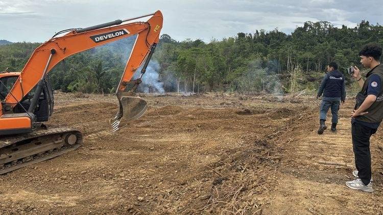 Penjara 10 Tahun dan Denda 5 Miliar Menanti Tersangka Perambah Hutan Produksi di Wajo