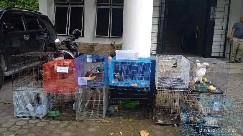 Gagal ke Thailand, Puluhan Satwa Liar Kini Dititip ke Balai BKSDA Sumut