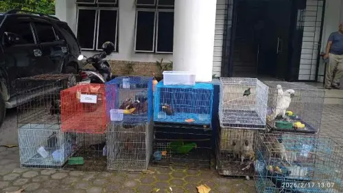 Gagal ke Thailand, Puluhan Satwa Liar Kini Dititip ke Balai BKSDA Sumut
