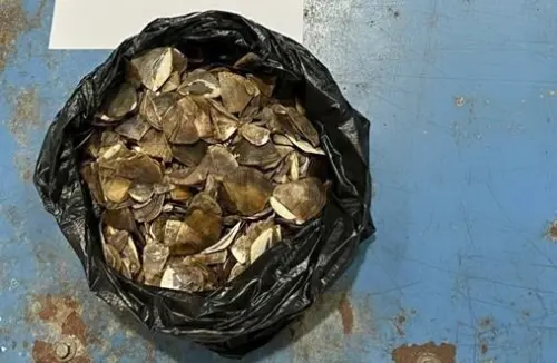 Denda Maksimal Rp30 Miliar Menanti HLY karena Sisik Trenggiling