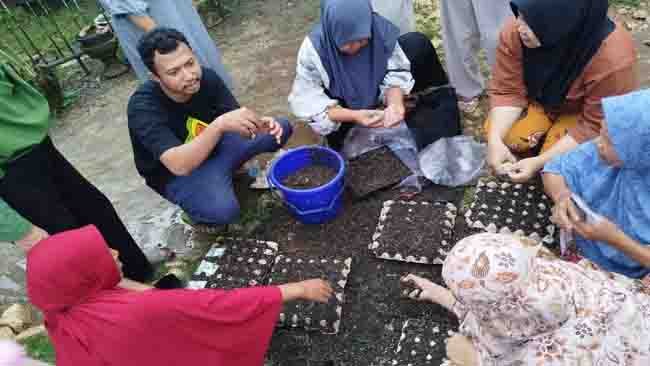 Dari Rumah untuk Bumi, Upaya Pajokka Balocci Dorong Perempuan Perkuat Ketahanan Pangan