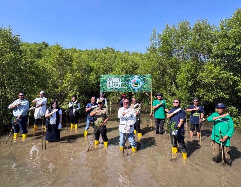 Injourney Green Kolaborasi LindungiHutan Tanam Ribuan Mangrove di Pesisir Untia
