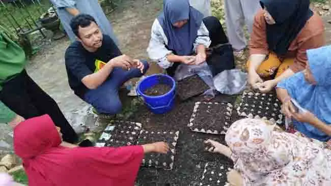Dari Rumah untuk Bumi, Upaya Pajokka Balocci Dorong Perempuan Perkuat Ketahanan Pangan