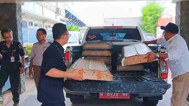 Ratusan Burung dalam 22 Peti Kayu Disita di Tanjung Perak, Surabaya