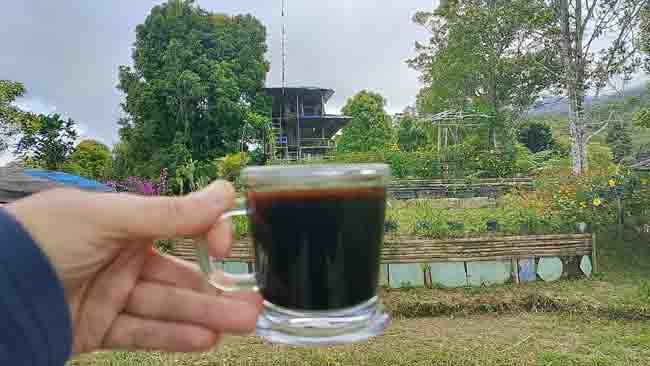 Tak Ada Kopi di Kindang, Hanya Ada Ere Bambang