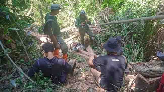 Lakukan Pembalakan Liar di TWA Mangolo, Dua Orang Ditetapkan sebagai Tersangka
