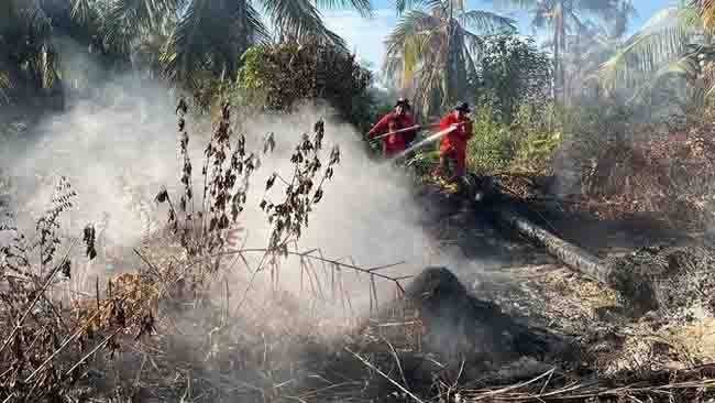Momen Idul Adha Tak Halangi Manggala Agni Tancap Gas Atasi Karhutla Riau