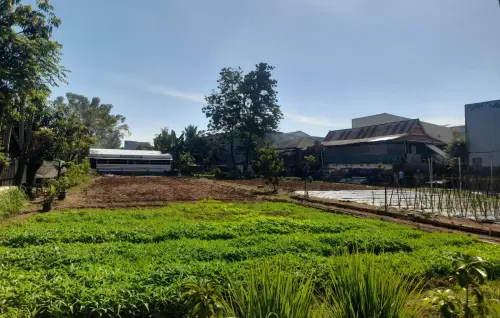 Panen Sehat adalah Panen yang Barakka' dari Tanah yang Hidup