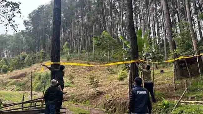 Ubah  Hutan Jadi Peternakan Ayam, Pengusaha di Bone Terancam Hukuman Berat di Usia Senja