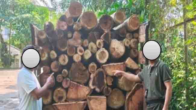 Dua Pelaku Pembalakan Liar di Hutan Lindung Batu Serampok Register 17 Berhasil Diamankan