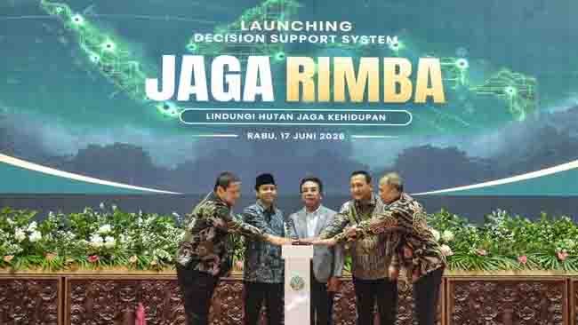 Mengenal DSS Jaga Rimba, Sistem Baru Penangkal Tumpang Tindih Perizinan di Sektor Kehutanan