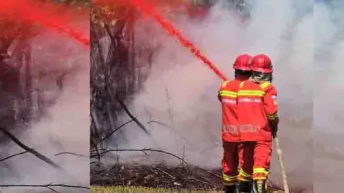 Perkuat Kolaborasi Bilateral dan Swasta, Kemenhut Fokus Tingkatkan Kapasitas SDM Dalkarhutla