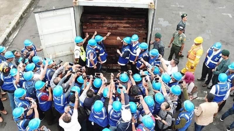 Gakkum KLHK Amankan 384 kontainer Kayu Ilegal asal Papua Senilai Ratusan Milyar