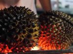 Di Malaysia dan Thailand, Mereka Membakar The King of Fruit Demi Sensasi Baru
