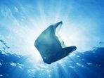 Laut Biru, Laut tanpa Plastik