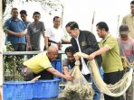 Presiden Jokowi panen udang Vaname di Bekasi