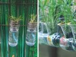 Memanfaatkan Sampah Botol Plastik Untuk Membuat Kebun Hidroponik
