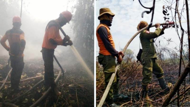 Padamkan Karhutla di Sumatera dan Riau, Manggala Agni KLHK dan Tim Gabungan Kerja Ekstra