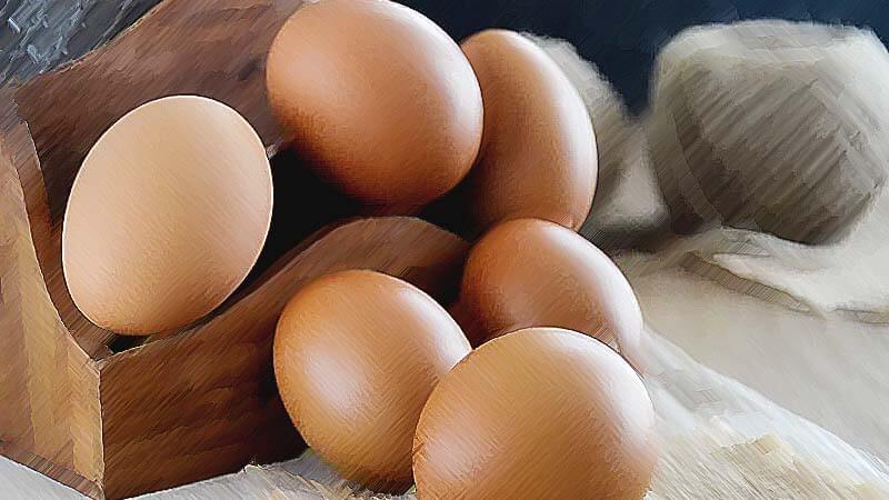 Telur Ayam Modifikasi Bisa Obati Kanker